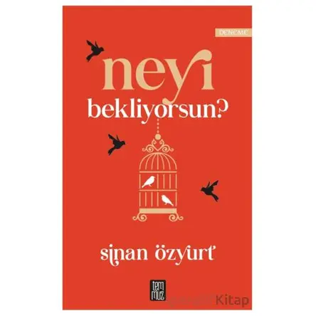 Neyi Bekliyorsun? - Sinan Özyurt - Temmuz Yayınları