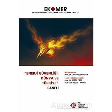 Enerji Güvenliği : Dünya ve Türkiye Paneli 2010