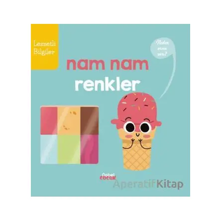 Nam Nam Renkler - Forrest Everett - Nobel Çocuk