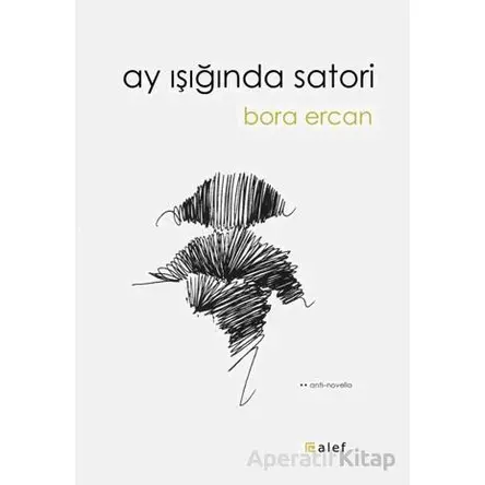 Ay Işığında Satori - Bora Ercan - Alef Yayınevi