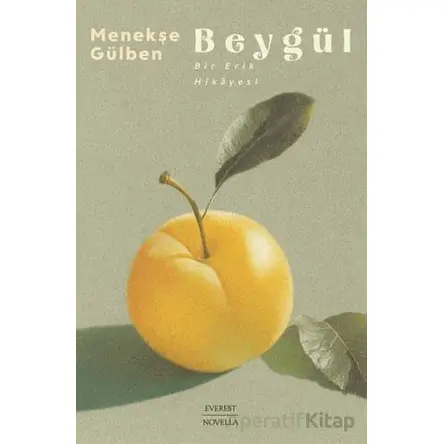 Beygül - Menekşe Gülben - Everest Yayınları