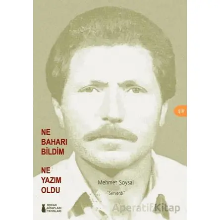 Ne Baharı Bildim Ne Yazım Oldu - Mehmet Soysaldı - Sokak Kitapları Yayınları