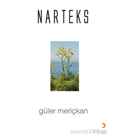 Narteks - Güler Meriçkan - Cinius Yayınları