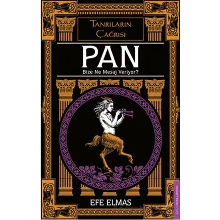 Pan Bize Ne Mesaj Veriyor? - Efe Elmas - Destek Yayınları