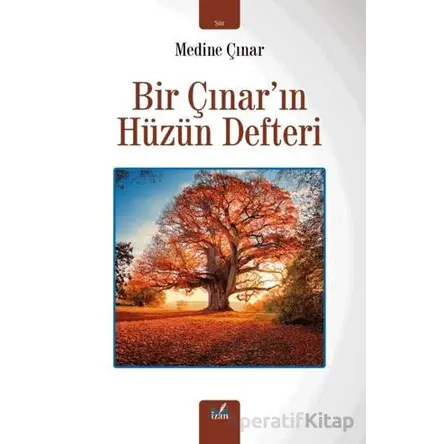 Bir Çınarın Hüzün Defteri - Medine Çınar - İzan Yayıncılık