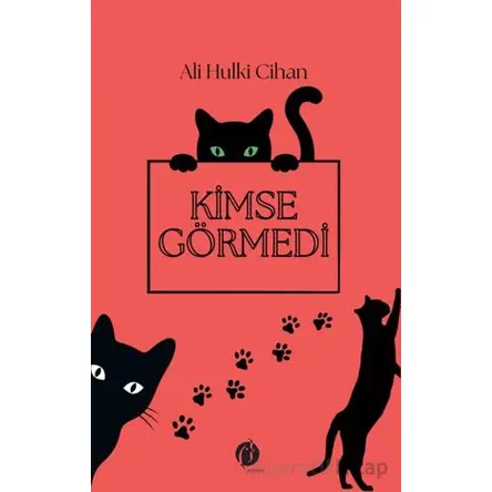 Kimse Görmedi - Ali Hulki Cihan - Herdem Kitap