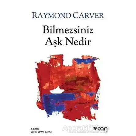 Bilmezsiniz Aşk Nedir - Raymond Carver - Can Yayınları