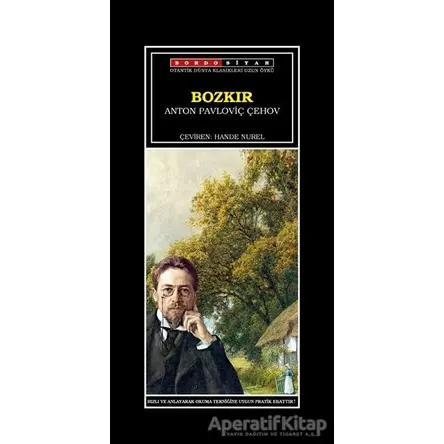 Bozkır - Anton Pavloviç Çehov - Bordo Siyah Yayınları
