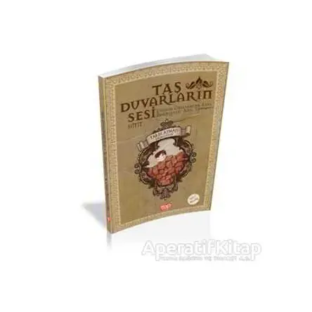Tarih Aynası 1 - Taş Duvarların Sesi - Çiğdem Özelsancak Ataş - Top Yayıncılık