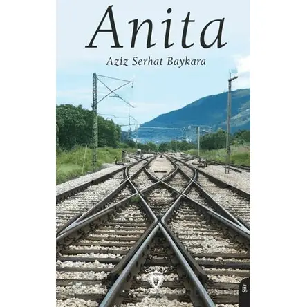 Anita - Aziz Serhat Baykara - Dorlion Yayınları