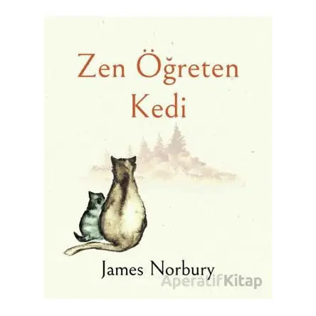 Zen Öğreten Kedi - James Norbury - Epsilon Yayınevi