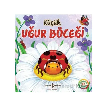 Küçük Uğur Böceği - Wednesday Jones - İş Bankası Kültür Yayınları