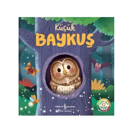 Küçük Baykuş - Wednesday Jones - İş Bankası Kültür Yayınları