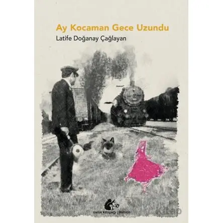 Ay Kocaman Gece Uzundu - Latife Doğanay Çağlayan - Meşe Kitaplığı