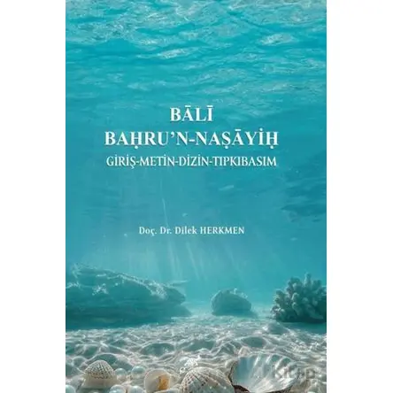 Bali Bahrun-Na?ayi? - Dilek Herkmen - Paradigma Akademi Yayınları
