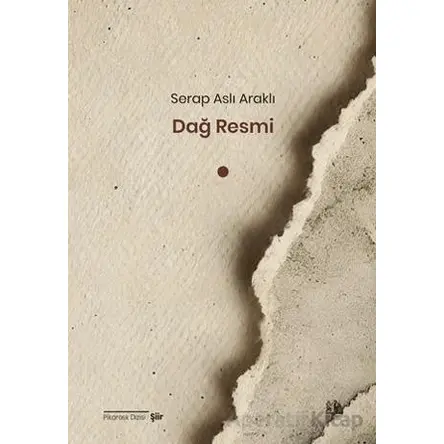 Dağ Resmi - Serap Aslı Araklı - Pikaresk Yayınevi