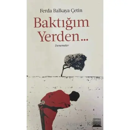 Baktığım Yerden - Ferda Balkaya Çetin - Anatolia Kitap