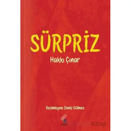 Sürpriz - Hakkı Çınar - Klaros Yayınları