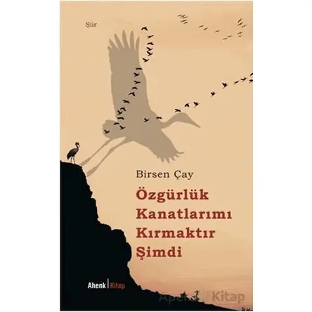 Özgürlük Kanatlarımı Kırmaktır Şimdi - Birsen Çay - Ahenk Kitap