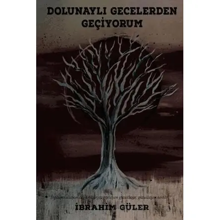 Dolunaylı Gecelerden Geçiyorum - İbrahim Güler - İkinci Adam Yayınları