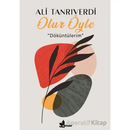 Olur Öyle - Ali Tanrıverdi - Çınar Yayınları