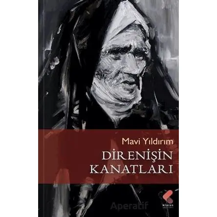 Direnişin Kanatları - Mavi Yıldırım - Klaros Yayınları