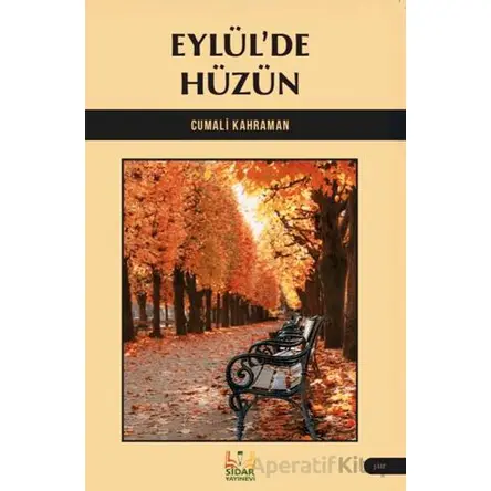 Eylül’de Hüzün - Cumali Kahraman - Sidar Yayınları