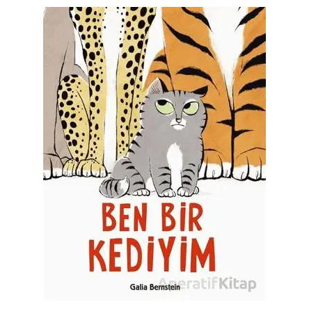 Ben Bir Kediyim - Galia Bernstein - Uçanbalık Yayıncılık