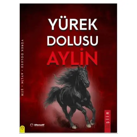 Yürek Dolusu Aylin Şiirleri - Aylin Erdemer - Alternatif Yayıncılık