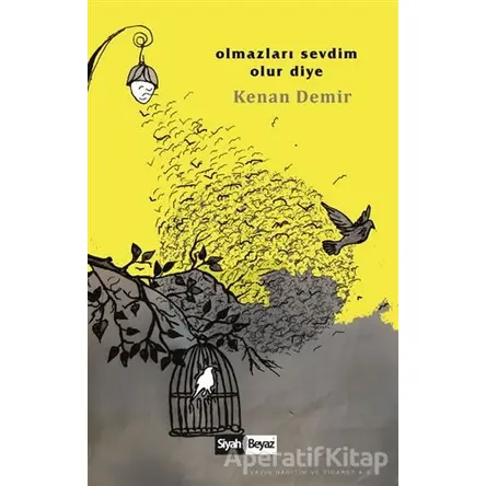 Olmazları Sevdim Olur Diye - Kenan Demir - Siyah Beyaz Yayınları