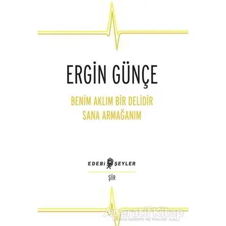 Benim Aklım Bir Delidir Sana Armağanım - Ergin Günçe - Edebi Şeyler