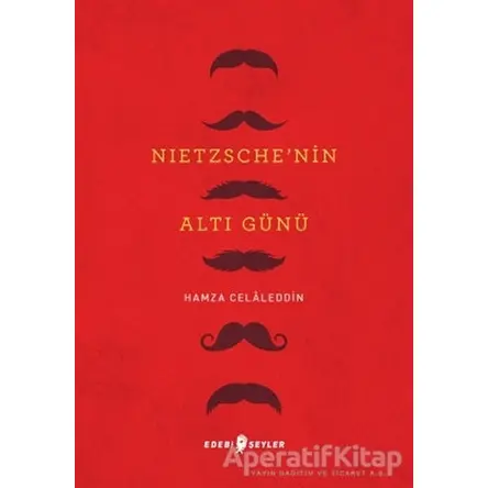Nietzsche’nin Altı Günü - Hamza Celaleddin - Edebi Şeyler
