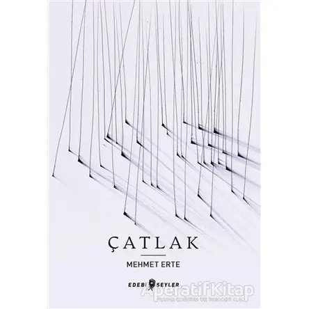 Çatlak - Mehmet Erte - Edebi Şeyler