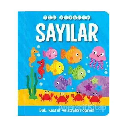 Sayılar - İlk Kitabım - Kolektif - İndigo Çocuk