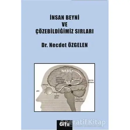 İnsan Beyni ve Çözebildiğimiz Sırları - Necdet Özgelen - Gita Yayınları