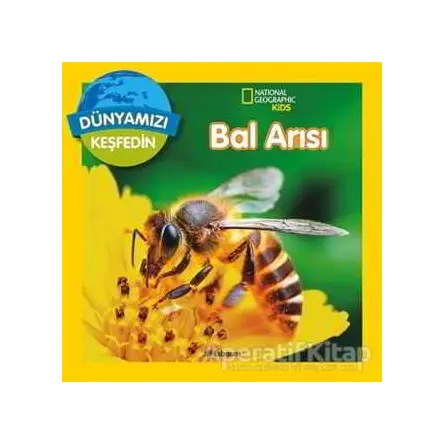 Dünyamızı Keşfedin - Bal Arısı - Jill Esbaum - Beta Kids
