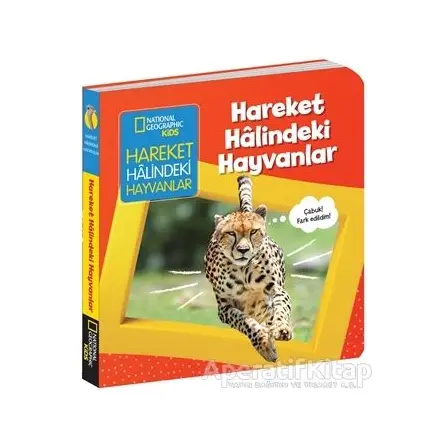 Hareket Halindeki Hayvanlar - İlk Kitaplarım Serisi - Ruth A. Musgrave - Beta Kids
