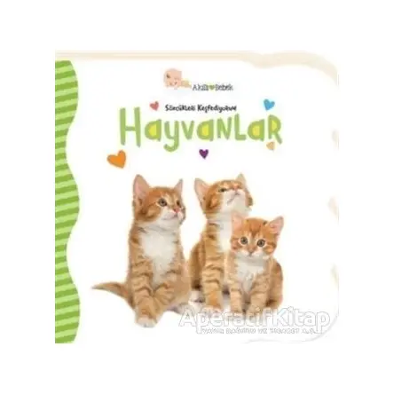 Hayvanlar - Sözcükleri Keşfediyorum - Gökçe Demir - Beta Kids