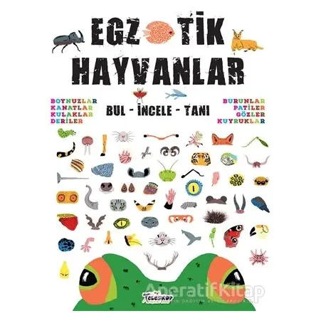 Egzotik Hayvanlar - Kolektif - Teleskop Popüler Bilim