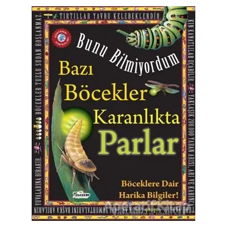 Bunu Bilmiyordum - Bazı Böcekler Karanlıkta Parlar - Flowerpot Press - Teleskop Popüler Bilim