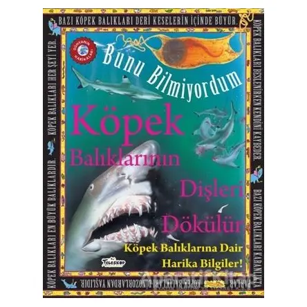 Bunu Bilmiyordum - Köpek Balıklarının Dişleri Dökülür - Flowerpot Press - Teleskop Popüler Bilim
