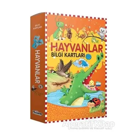 Hayvanlar Bilgi Kartları - Kolektif - Teleskop Popüler Bilim