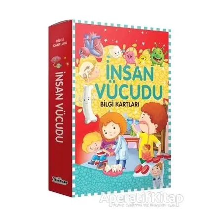 İnsan Vücudu Bilgi Kartları - Kolektif - Teleskop Popüler Bilim