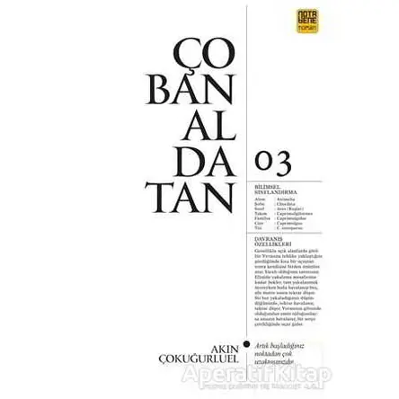 Çobanaldatan - Akın Çokuğurluel - Nota Bene Yayınları