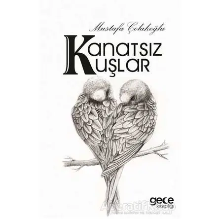 Kanatsız Kuşlar - Mustafa Çolakoğlu - Gece Kitaplığı