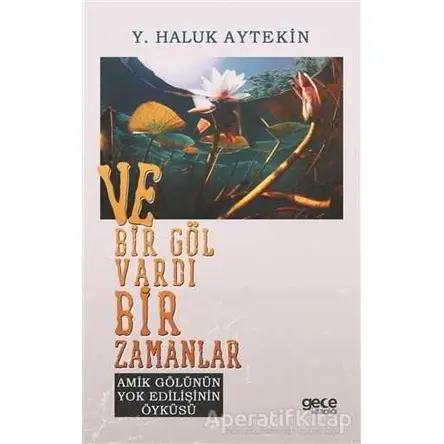 Ve Bir Göl Vardı Bir Zamanlar - Y. Haluk Aytekin - Gece Kitaplığı
