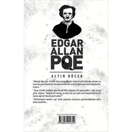 Altın Böcek - Edgar Allan Poe - Maviçatı Yayınları