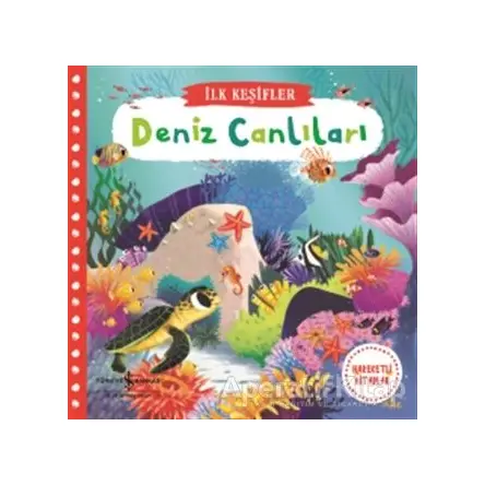 Deniz Canlıları - Kolektif - İş Bankası Kültür Yayınları