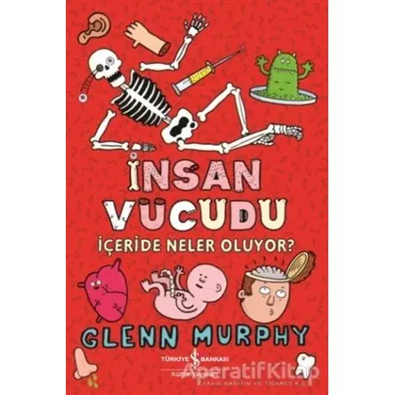İnsan Vücudu - Glenn Murphy - İş Bankası Kültür Yayınları