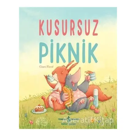 Kusursuz Piknik - Ciara Flood - İş Bankası Kültür Yayınları